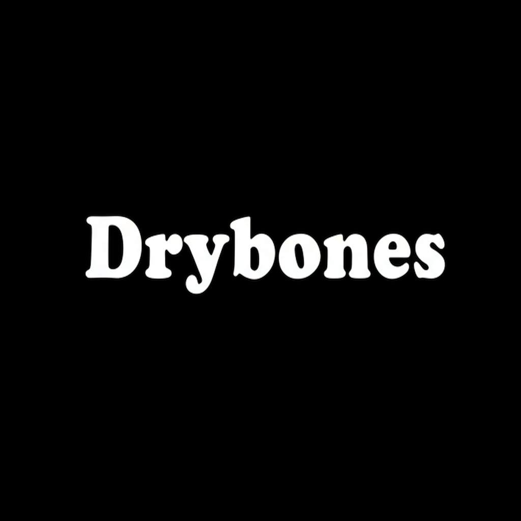 Drybones wordmark in white on black square background, monochrome Japanese heritage fashion brand plate