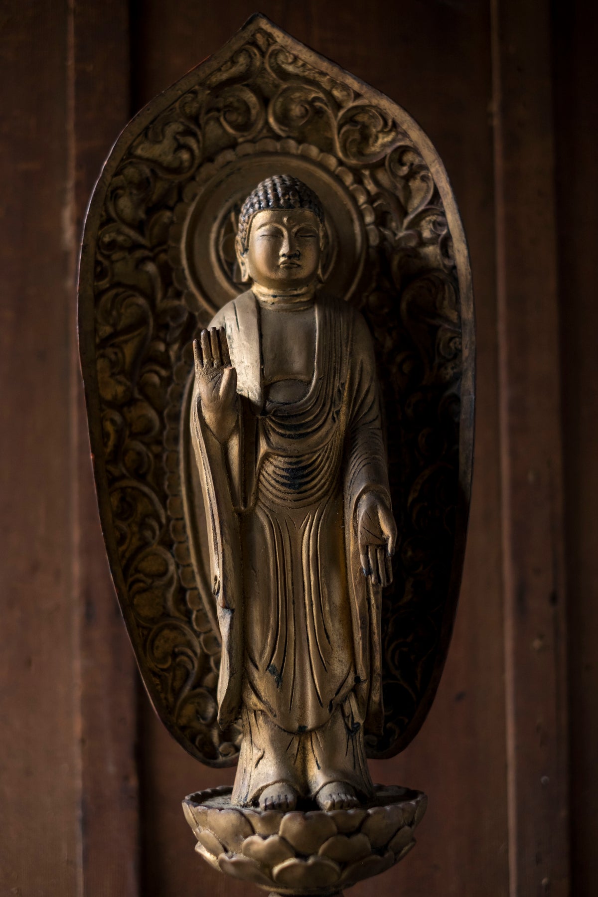 Vintage Japanese Shaka Nyorai Gilt Wood Buddha Statue with Mandorla | 49 cm Shakyamuni Buddhist Sculpture