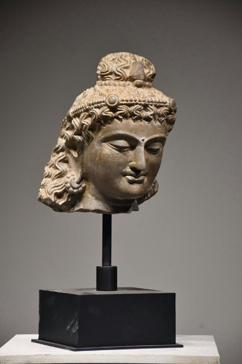 Antique Gandhara Grey Schist Buddha Head Fragment Bust, Kushan-Era Style Stone Sculpture Study Piece, 38cm