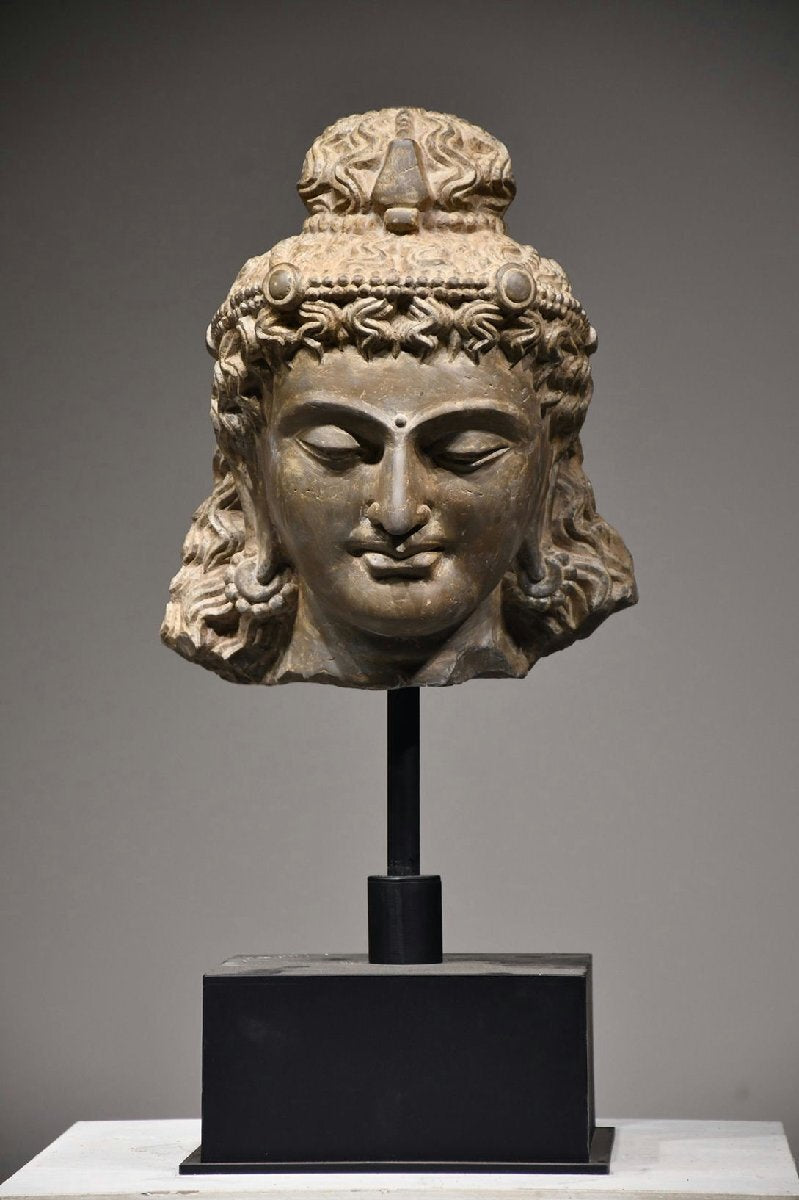 Antique Gandhara Grey Schist Buddha Head Fragment Bust, Kushan-Era Style Stone Sculpture Study Piece, 38cm