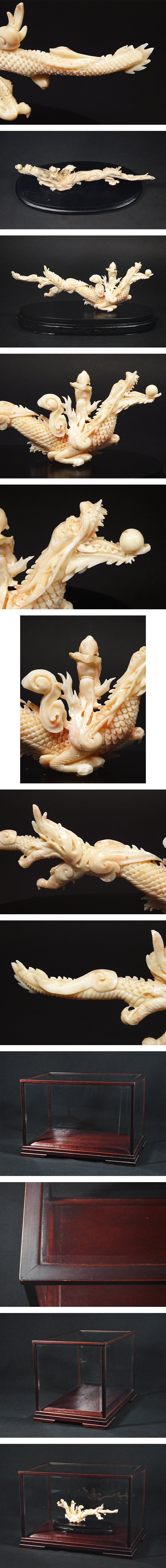Antique Natural Coral Dragon Immortal Sculpture with Glass Case Japanese Scholar Art