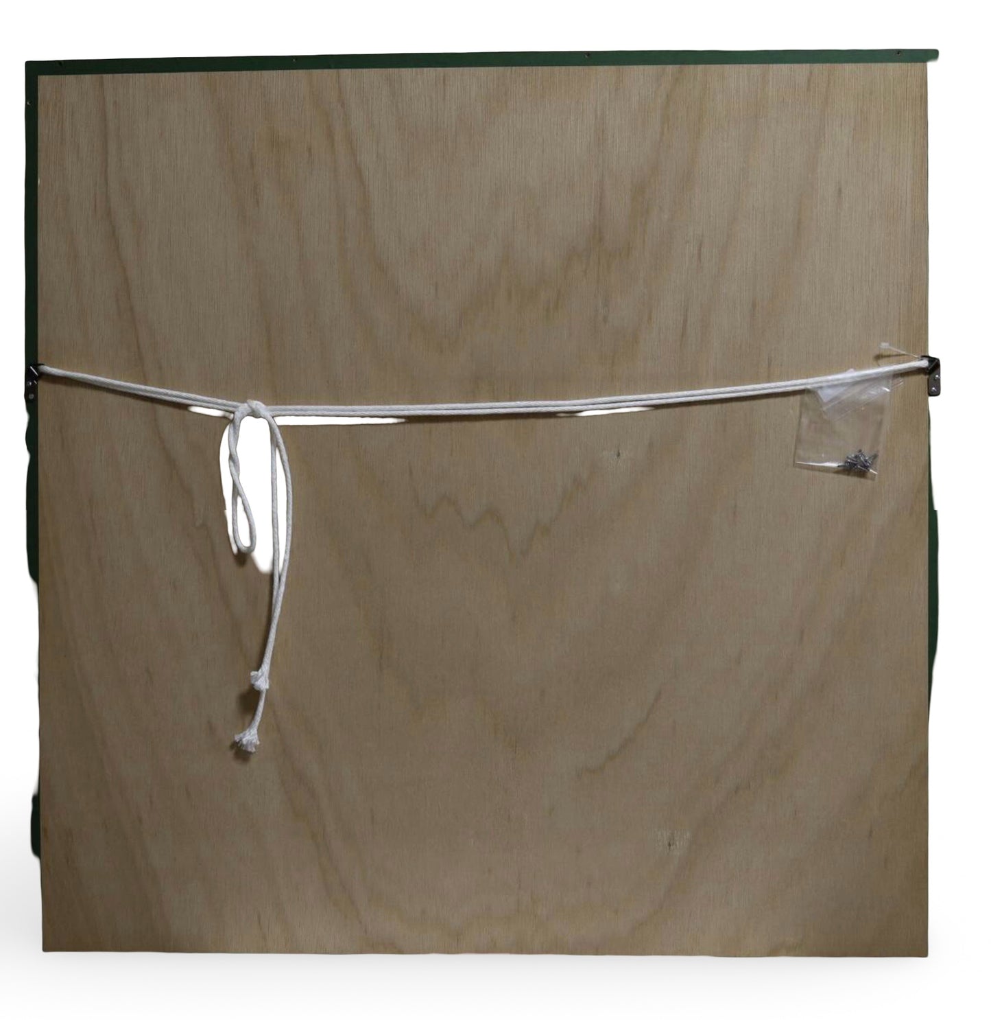 Takashi Murakami “Jellyfish” 2003 Offset Lithograph Limited 300 Kaikai Kiki Framed Artwork Superflat Print