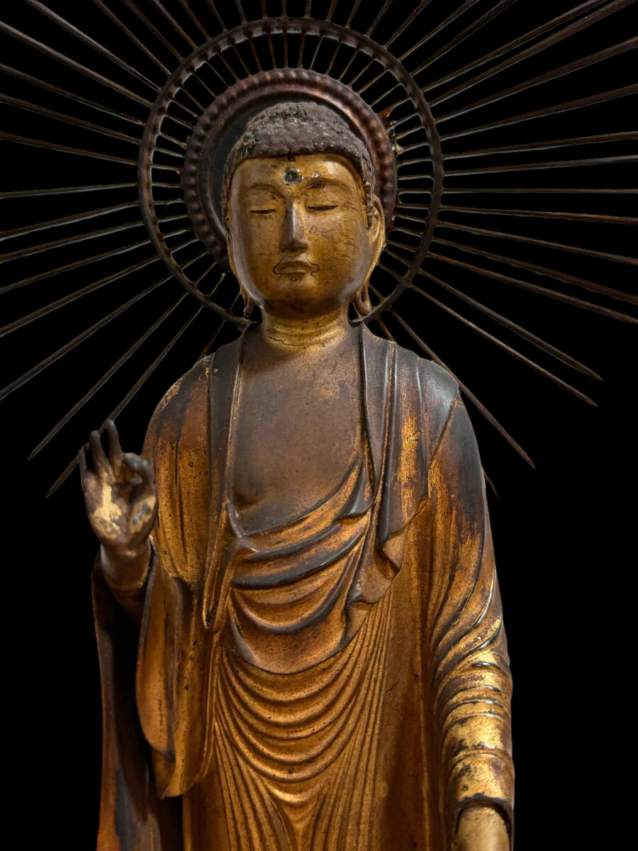 Early Edo Standing Amida Nyorai (Pure Land Buddha) — Gyokugan Crystal Eyes, Radiant Halo, Monumental Tiered Lotus Base — Reported Kan'ei 14 (1637) — With Calligraphy Scroll — Japanese Buddhist Sculpture
