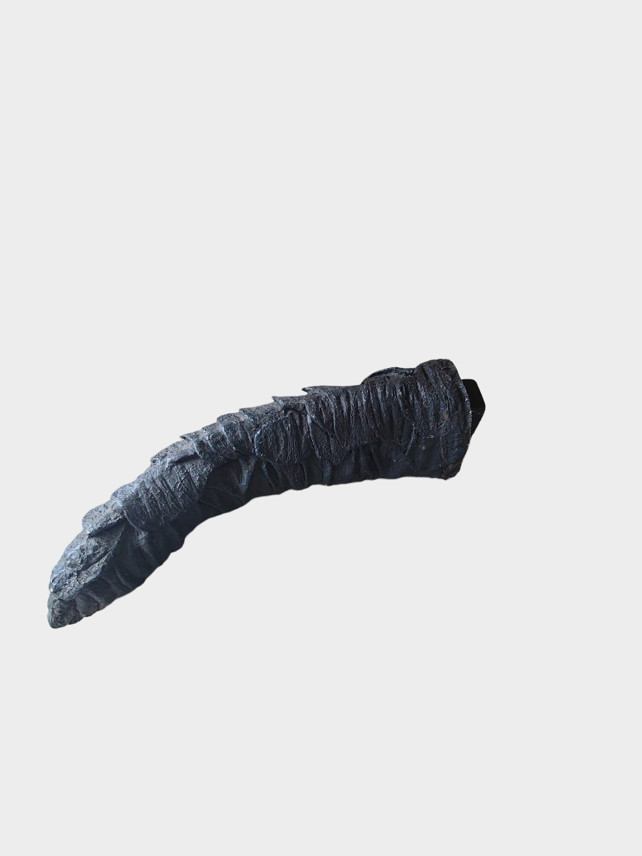 Gamera Giant Life-size Display Figure — Large-Format Kaiju Statue, Daiei Era Guardian, Museum-Scale Interior Piece