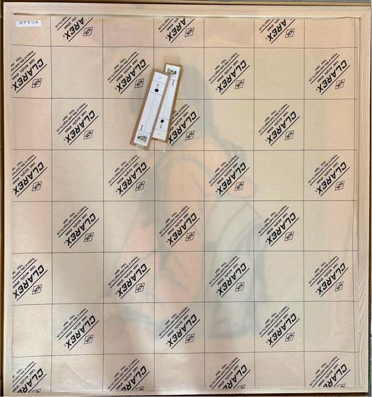 Hisashi Eguchi Kotoba Print ED100 Zingaro Murakami Silkscreen Contemporary Japanese Illustration Art Framed