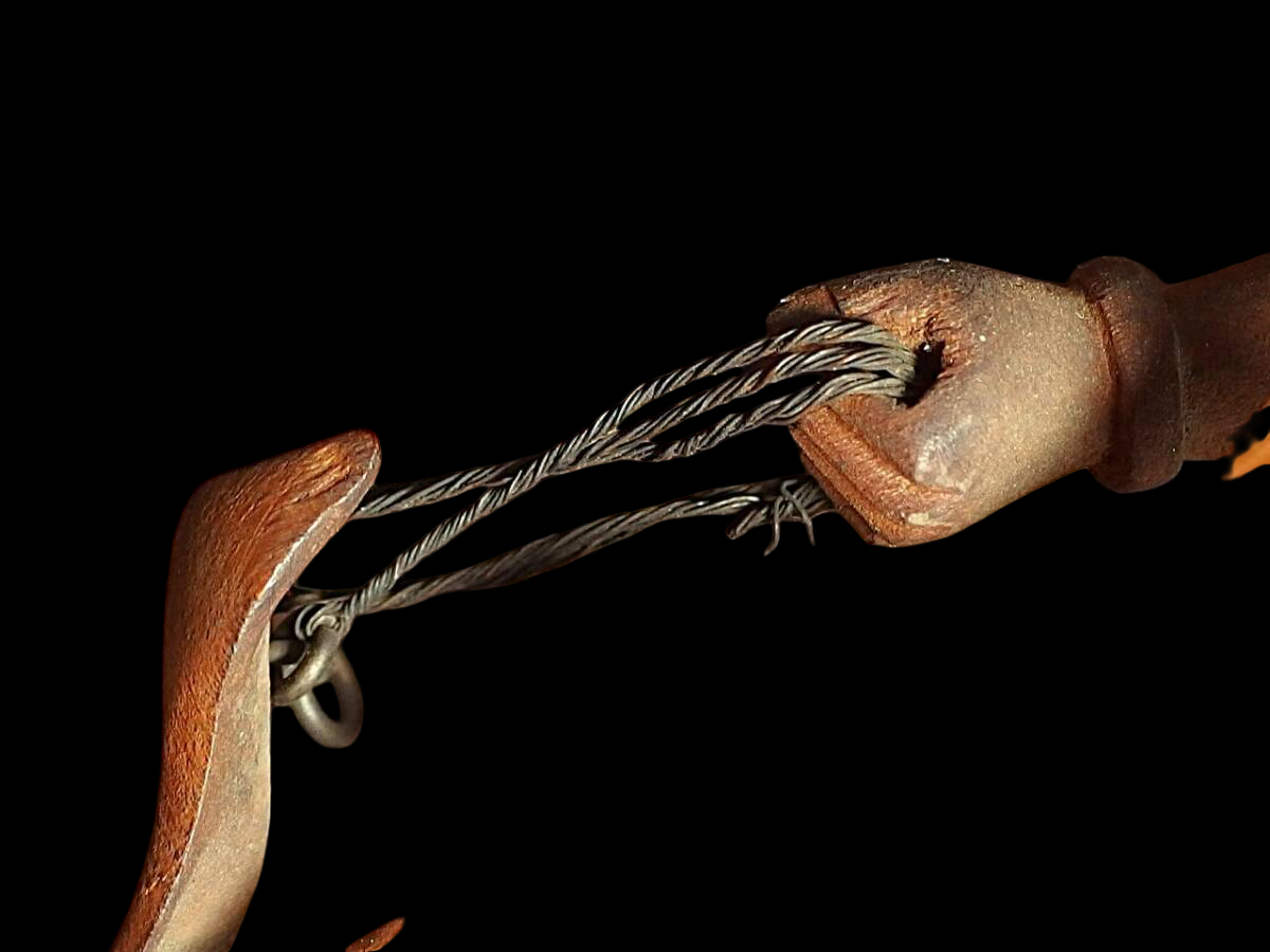 Japanese Wooden Fudo Myoo with Flame Mandorla, One-Block Carving, Meiji–Early Showa Period Esoteric Buddhist Sculpture