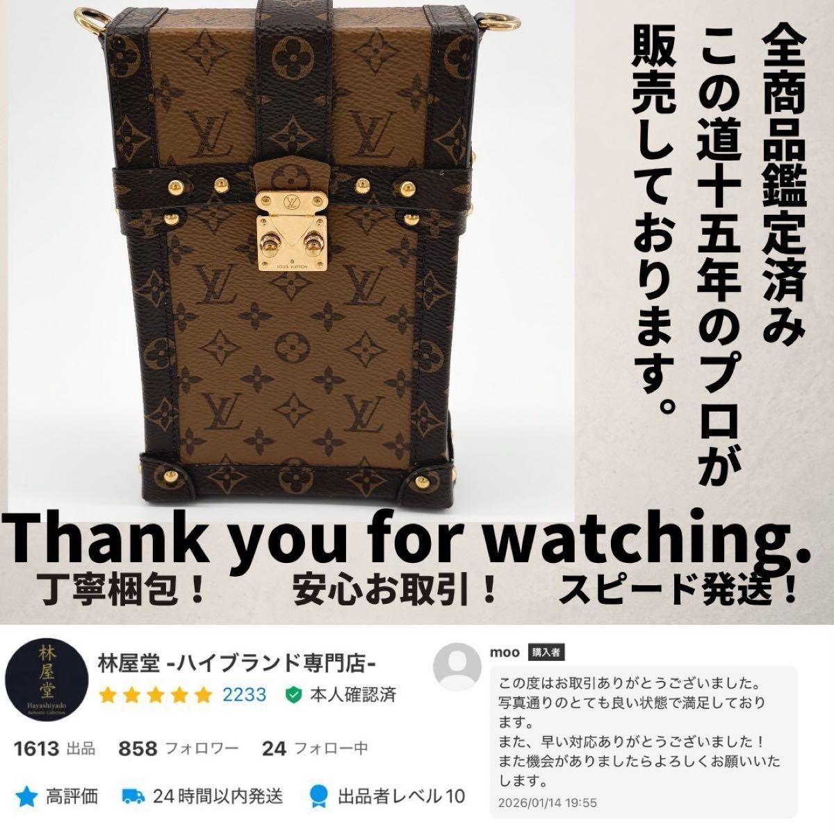 Louis Vuitton Pochette Trunk Vertical M67873 Monogram Reverse Chain Shoulder Bag