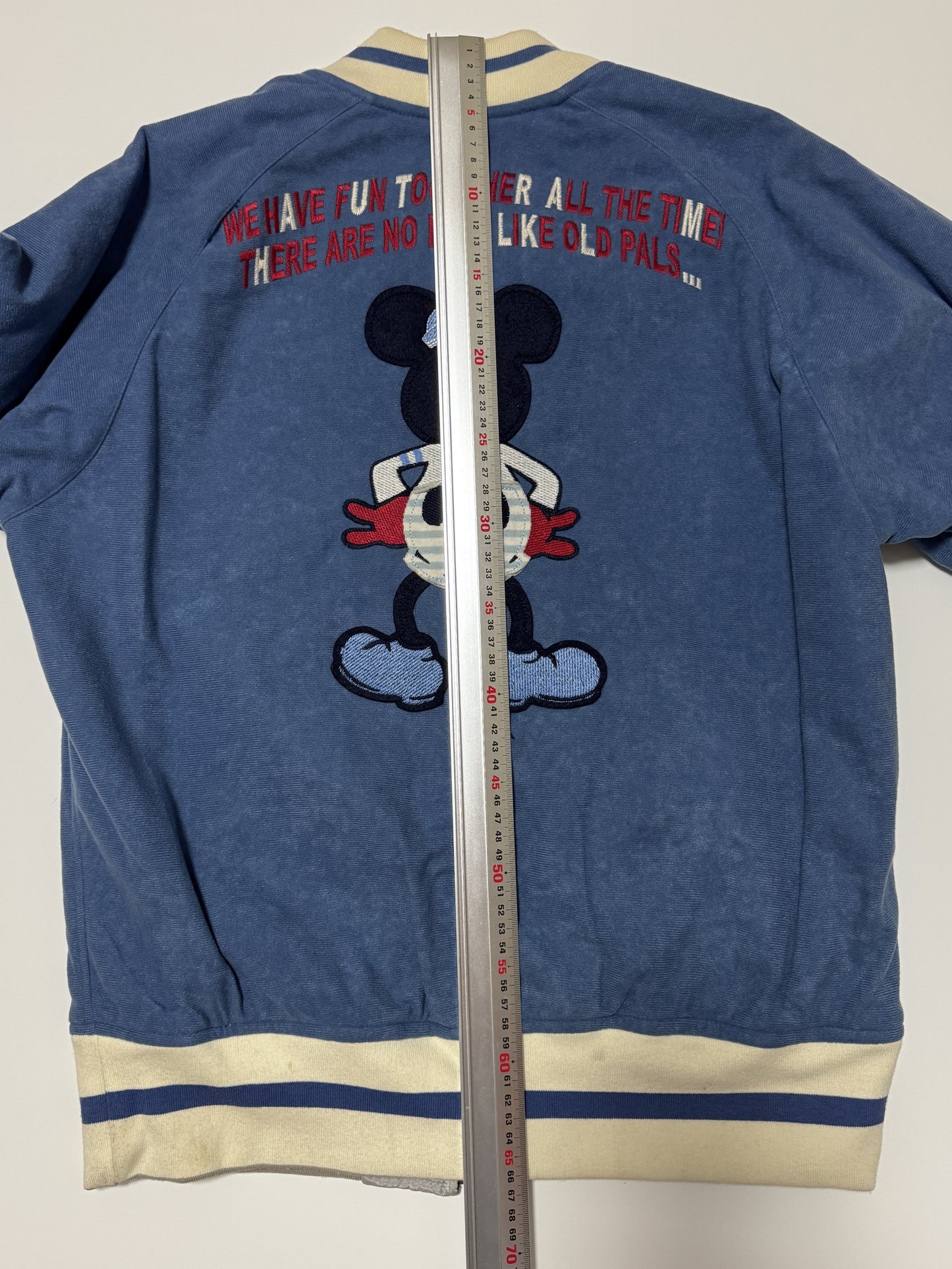 Rare Karl Helmut x Disney Mickey Mouse Reversible Jacket S, Hokusai Wave 20th Anniversary Japanese Disneyana