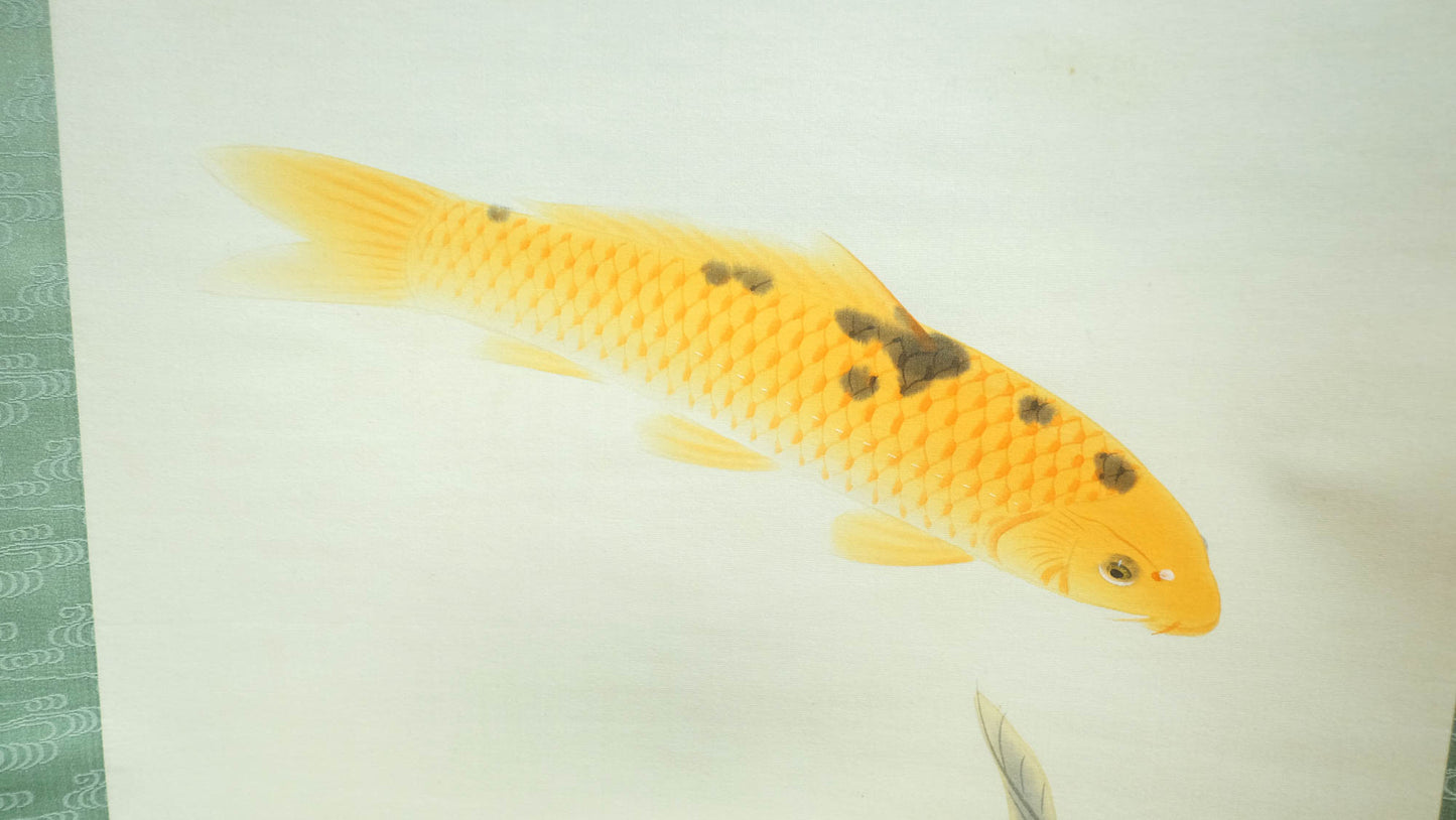 Vintage Japanese Koi Fish Hanging Scroll, Signed Kakejiku with Three Carp, Gold and Black Koi Art, Traditional Wall Decor with Box