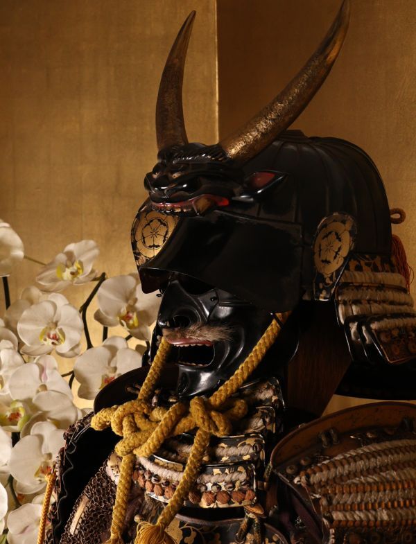 Samurai Armor Gusoku Full Standing Display with Maedate Helmet | Large-Scale Japanese Armor Set