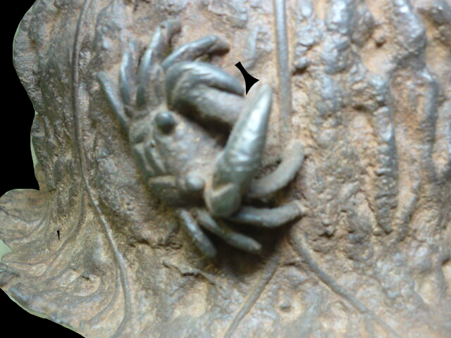 Ueda Terufusa Iron Kettle · Lotus-Leaf Form with Crab Relief & Signed Iron Lid · Iwate Nambu Craft · Round Tetsubin for Sencha