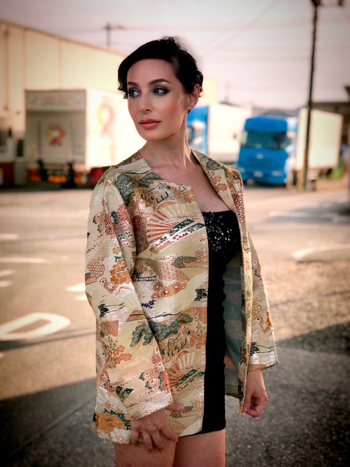 One-of-a-Kind Japanese Wagara Brocade Jacket with Tsuru Cranes, Sensu Fans, Pine, Chrysanthemum & Classical Geometric Motifs