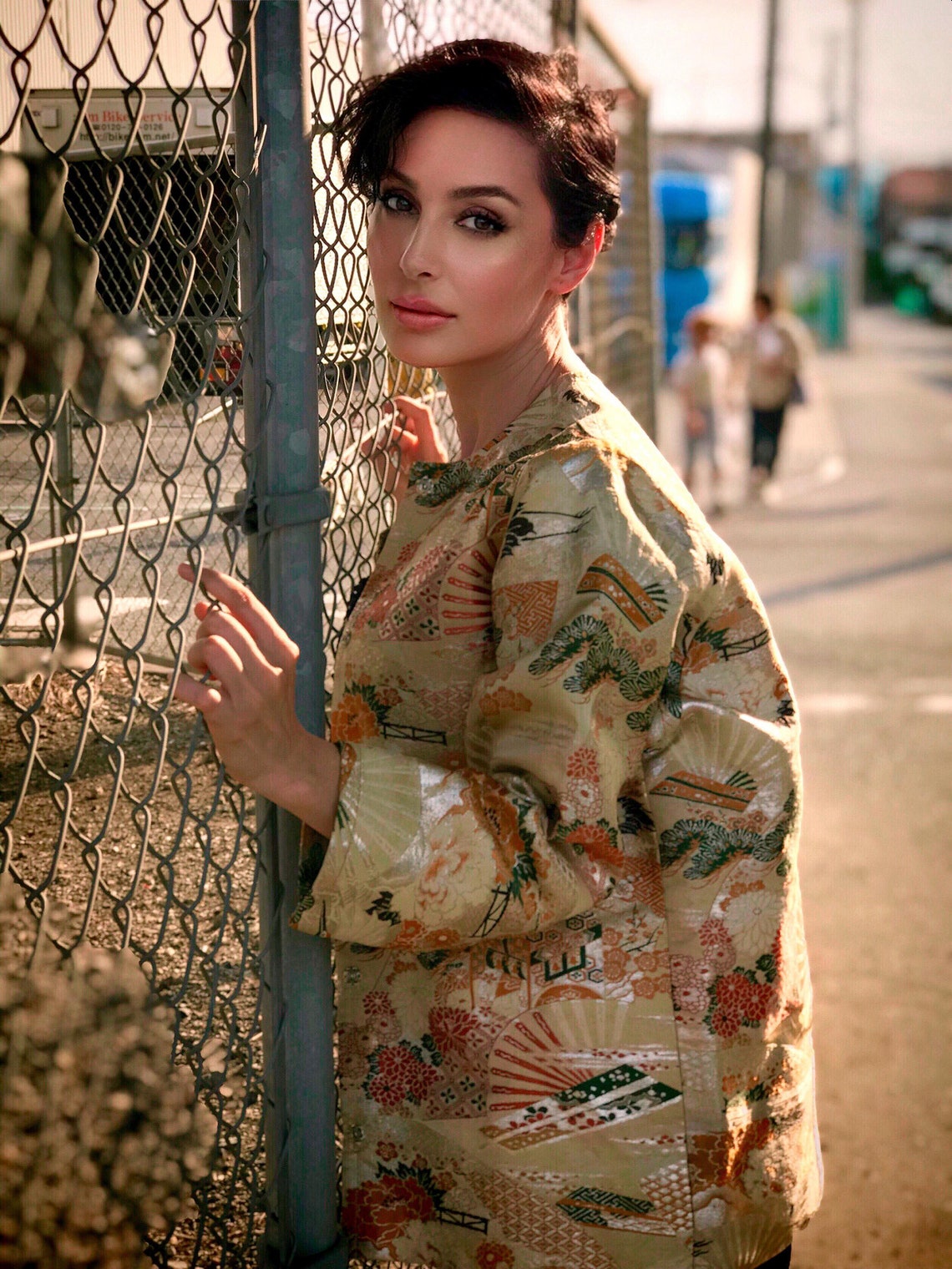 One-of-a-Kind Japanese Wagara Brocade Jacket with Tsuru Cranes, Sensu Fans, Pine, Chrysanthemum & Classical Geometric Motifs