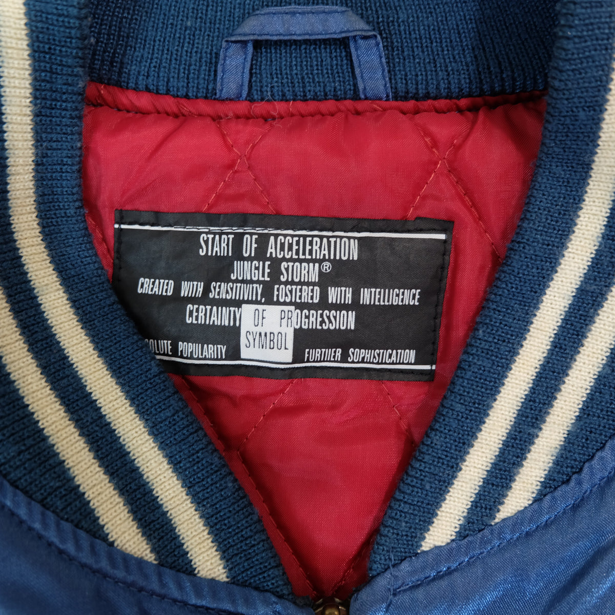 Vintage Jungle Storm Raijin Sukajan Jacket Blue Satin Thunder God Embroidered Japanese Yokosuka Bomber Free Size M-L